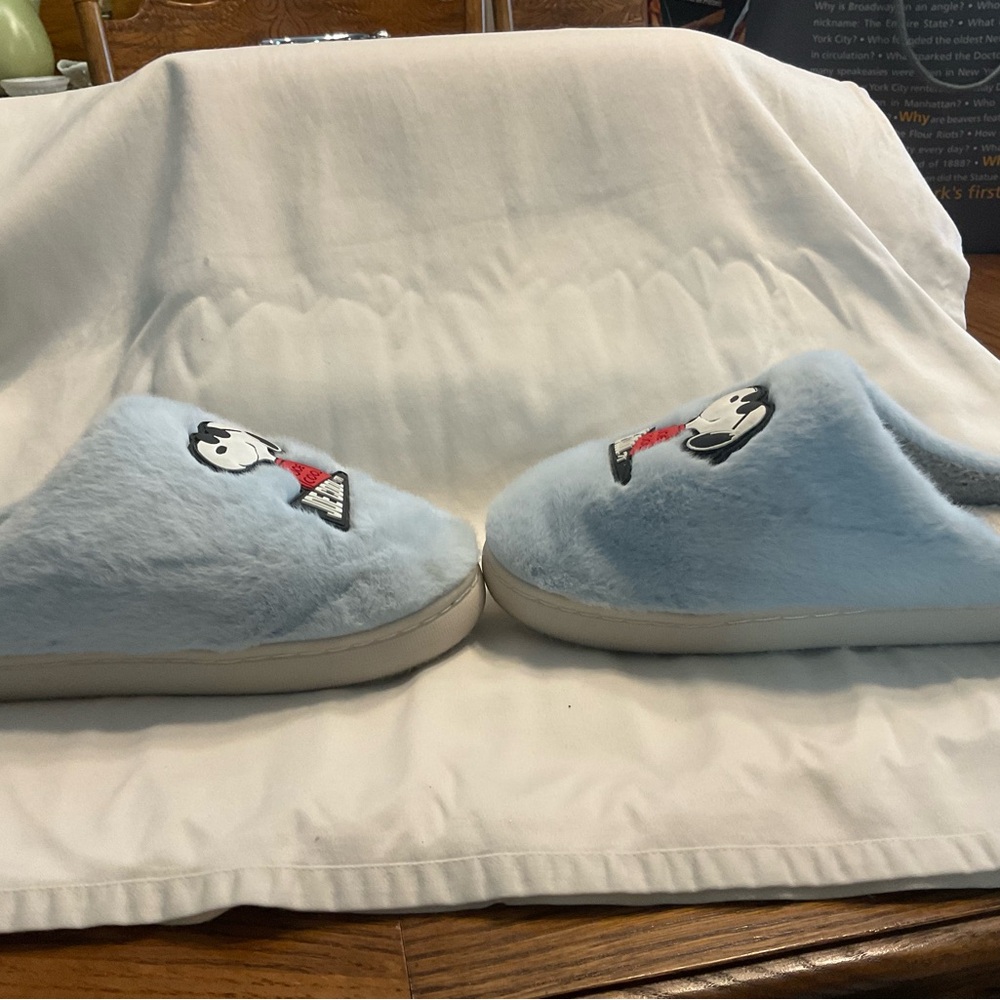 Snoopy Joe Cool Slippers